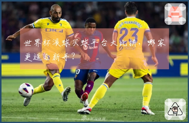 世界杯滚球买球平台大比拼，哪家更适合新手？