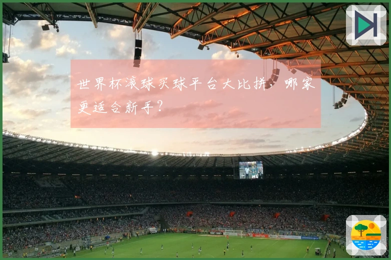 世界杯滚球买球平台大比拼，哪家更适合新手？