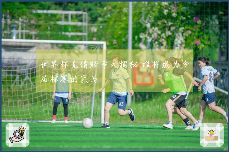 世界杯竞猜赔率大揭秘 谁将成为今届杯赛的黑马