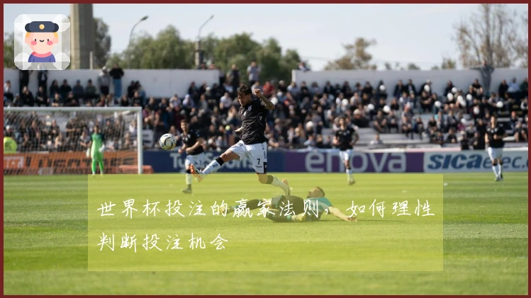 世界杯投注的赢家法则，如何理性判断投注机会