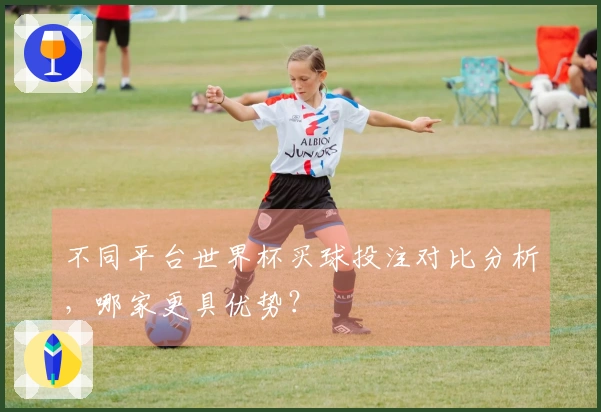 不同平台世界杯买球投注对比分析，哪家更具优势？
