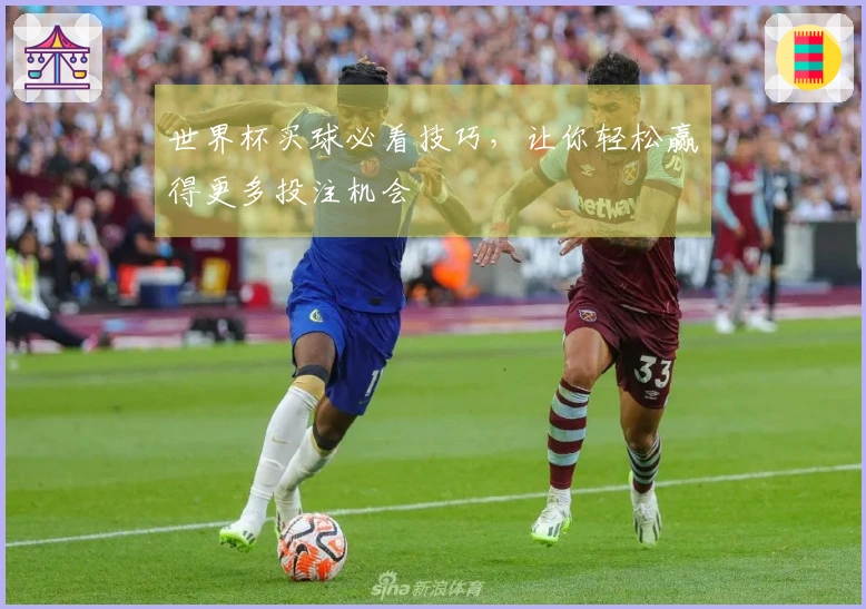 世界杯买球必看技巧，让你轻松赢得更多投注机会